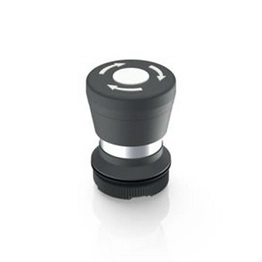 RAFI 1.30.276.001/2200 image