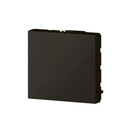 079181L legrand
