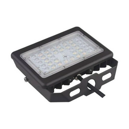 45923674440 International Lighting