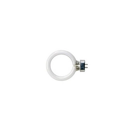 WW-S8L0-9 International Lighting