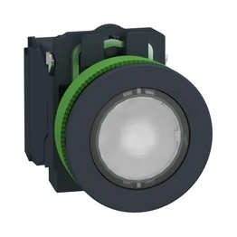 XB5FW31B5 Schneider Electric