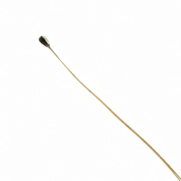 TDK B57540G0104F000 image