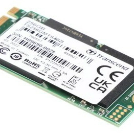 Transcend Information TS256GMTS402I image