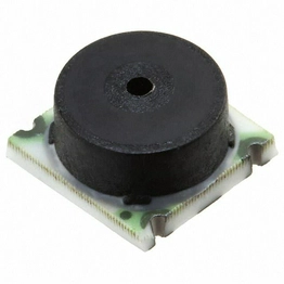TBPLPNN100PGUCV Honeywell