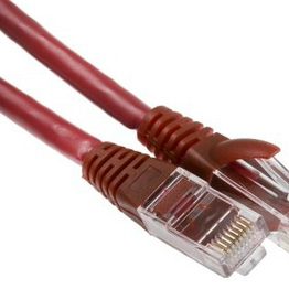 RS 556859 image