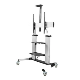 1110C-MOBILE-TV-CART StarTech
