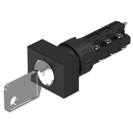 51-297.025D2F eao