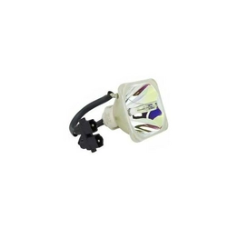 WW-EZ9Y-1 International Lighting