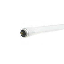 8PAK:WX-EHJA-5 International Lighting