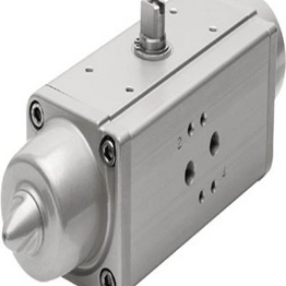 DAPS-0960-090-RS2-F1216 FESTO