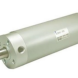 CG1N20-PS SMC