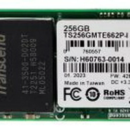 Transcend Information TS256GMTE662P-I image