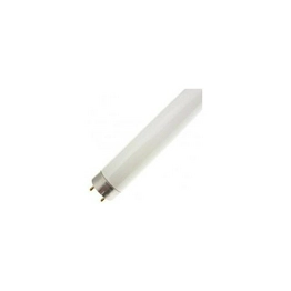WX-EGZ1-8 International Lighting