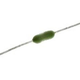 Littelfuse 0251007.HAT1L image
