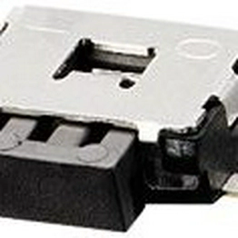 Panasonic EVQPUJ02K image