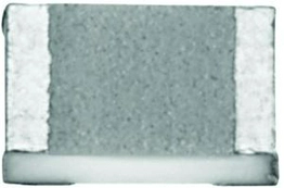 RV1206E8250FNT Vishay Intertechnology