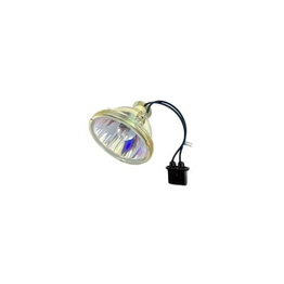 WW-5FF1-9 International Lighting
