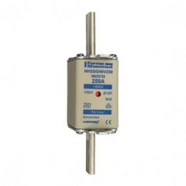 NH2GG40V250 MERSEN