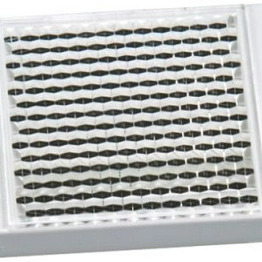 FTDR 047A048 Baumer