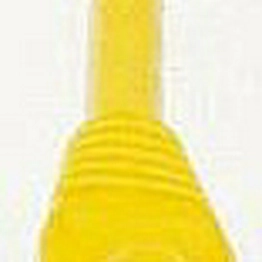 GPCPCU030-666HB Brand-Rex