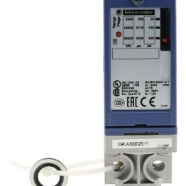 Telemecanique Sensors XMLB300D2S11 image