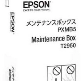 C13T295000 EPSON