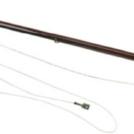 RS 7960209 image