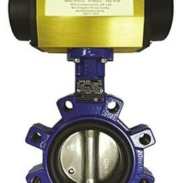 RS 7998831 image