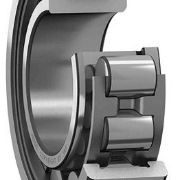 NJ 320 ECJ SKF