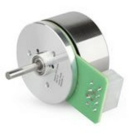 397172 maxon motor