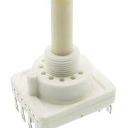 RTAP31S12WFLSP C&K