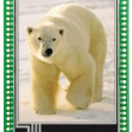 MikroElektronika MIKROE-1160 image
