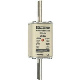 NH2GG50V250 MERSEN
