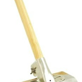 RS 7906889 image