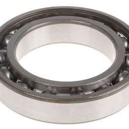 6010 SKF