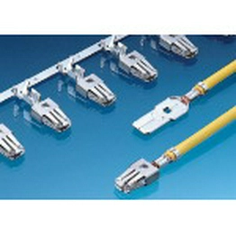 60070261 APTIV