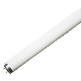 30PAK:WX-J8BK-6 International Lighting