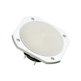 FRS 10 WP - 8 OHM (WHITE) VISATON