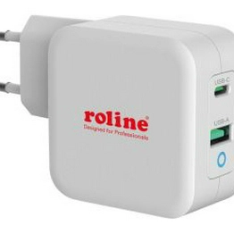 19111041 roline