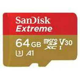 SDSDQAE-064G SanDisk