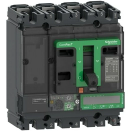 C25N47E250 Schneider Electric