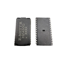 H2450G E-NETTR