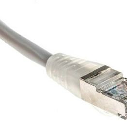 RS 556724 image