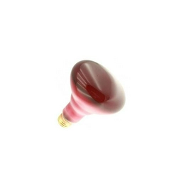 WX-EF7C-1 International Lighting