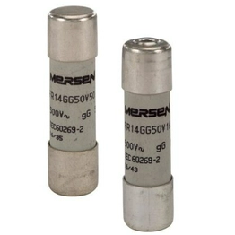 FR14GG69V1 MERSEN