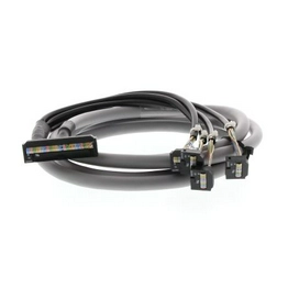 P2RV4300C.1 OMRON