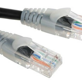 RS 556516 image