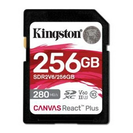 SDR2V6/256GB Kingston Technology