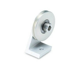 Z 119.065 Baumer
