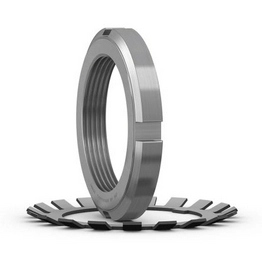 N 13 SKF